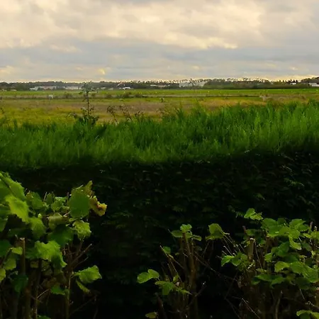 Europarc Marne La Vallee Отель 3*